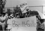 (3691) Gallo Boycott, ILWU members